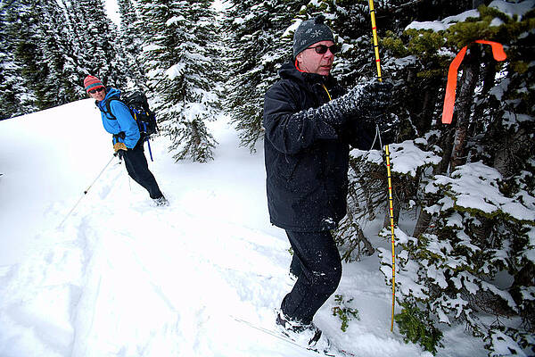 Wall Art - Photograph - Man Probing For Snow Depth As Others by Corey Rich