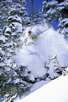Wall Art - Photograph - Man Skiing Through The Trees In Alta by Scott Markewitz