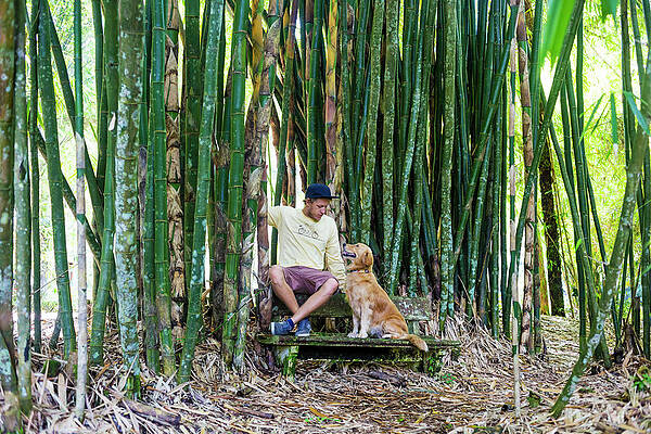 Wall Art - Photograph - Man With Dog Sitting Under Bamboo by Konstantin Trubavin