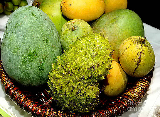 Mango Festival by Samuel James Mango Festival by Samuel James
