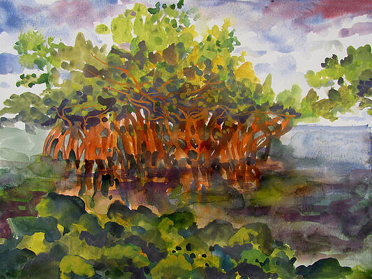 Mangrove by James Huntley Mangrove by James Huntley