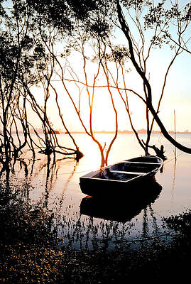 Dinghy in the Mangroves by Anthony Davey Dinghy in the Mangroves by Anthony Davey