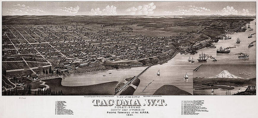 Wall Art - Drawing - Map Tacoma, 1884 by Granger