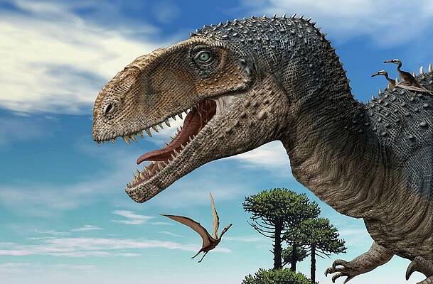 Theropod Dinosaurs Photograph - Mapusaurus by Jaime Chirinos/science Photo ...