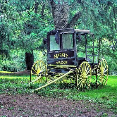 Wall Art - Photograph - Market Wagon by Gordon Elwell