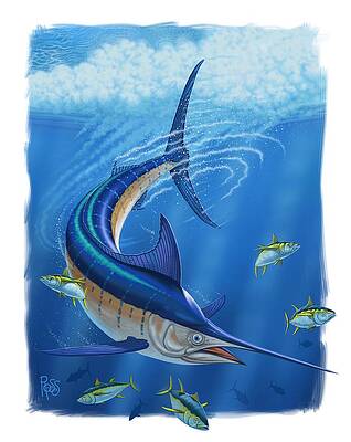 Marlin by Scott Ross Marlin by Scott Ross