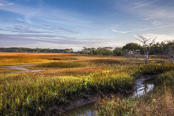 Wall Art - Photograph - Marsh at Jekyll Island by Debra and Dave Vanderlaan
