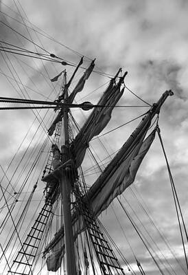 Mast and sails of a brig - monochrome by Ulrich Kunst And Bettina Scheidulin Mast and sails of a brig - monochrome by Ulrich Kunst And Bettina Scheidulin