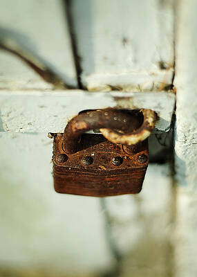 Master Lock by Rebecca Sherman Master Lock by Rebecca Sherman
