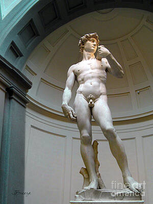 Masterpiece David.Florence by Jennie Breeze Masterpiece David.Florence by Jennie Breeze
