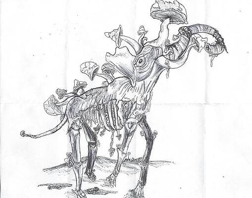 Wall Art - Drawing - Mastodon Fungi by Nathan  Schermer
