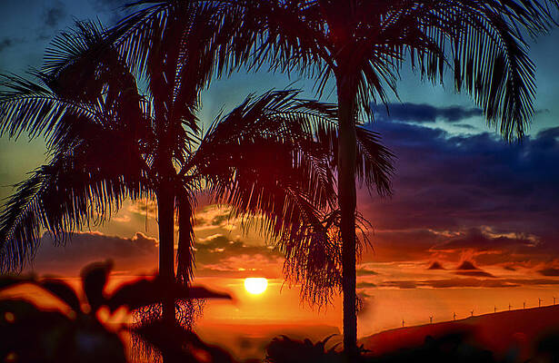 Maui Sunset #2 by Mike Neal Maui Sunset #2 by Mike Neal