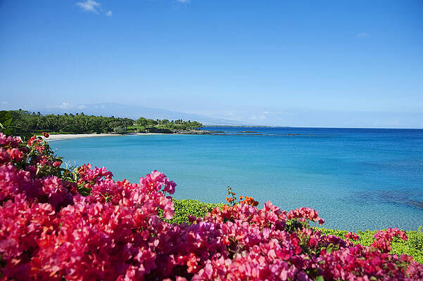 Wall Art - Photograph - Mauna Kea Beach II by Ron Dahlquist - Printscapes