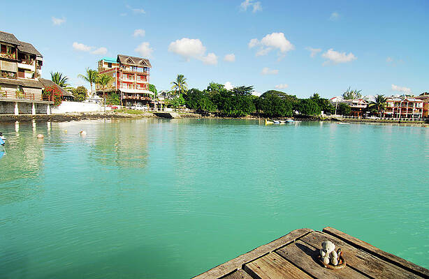 Wall Art - Photograph - Mauritius, Grand Baie, A Small Teddy by Anthony Asael