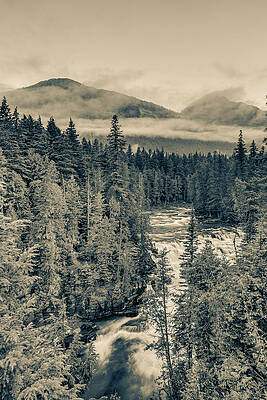 Wall Art - Photograph - McDonald Creek Vertical by Adam Mateo Fierro