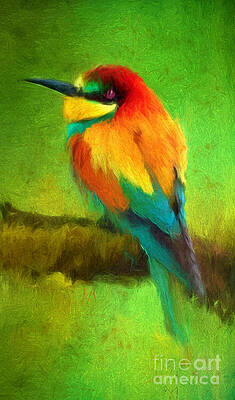 Medely of colors by Lynne Alexander Medely of colors by Lynne Alexander