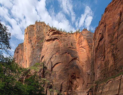 Meet at the Corner of Zion Canyon by John M Bailey Meet at the Corner of Zion Canyon by John M Bailey