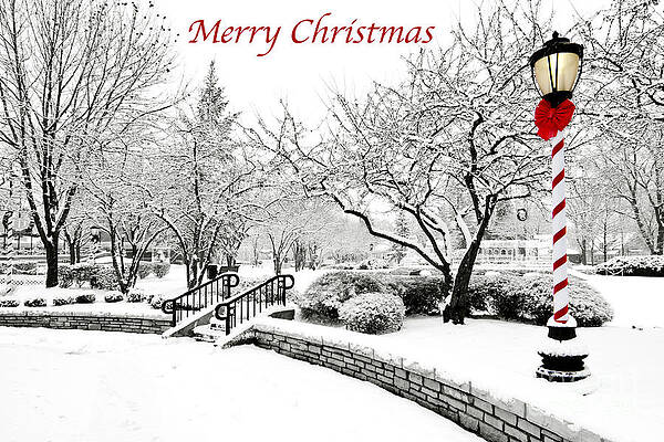 Wall Art - Photograph - Merry Christmas by Patty Colabuono