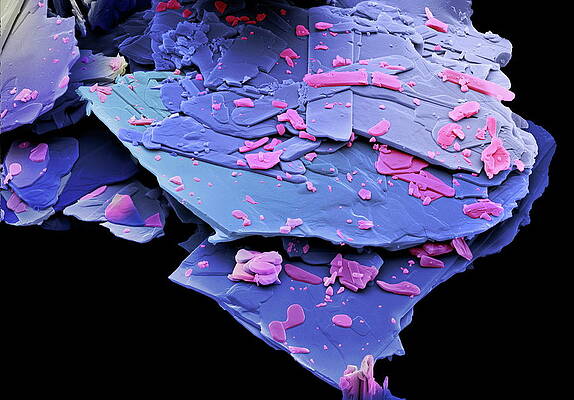 Wall Art - Photograph - Mescaline Crystals by Science Photo Library