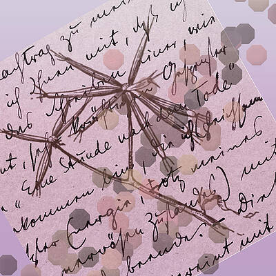 Wall Art - Digital Art - Message From Afar by Bonnie Bruno