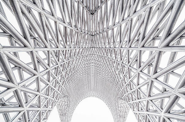 Wall Art - Photograph - Metallic Mesh by Copyright Xinzheng. All Rights Reserved.