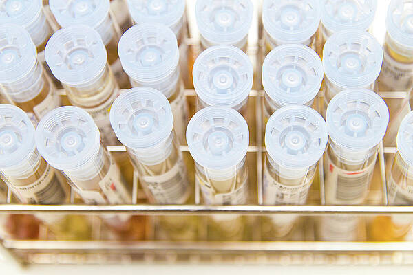 Wall Art - Photograph - Microbial Sample Transport Tubes by Science Photo Library