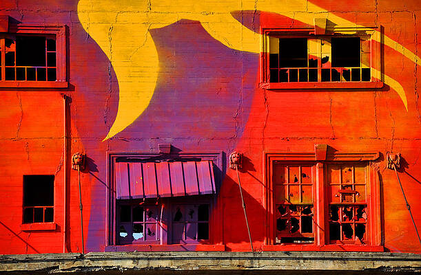 Migrate Detail 1 by Matthew Chapman Migrate Detail 1 by Matthew Chapman