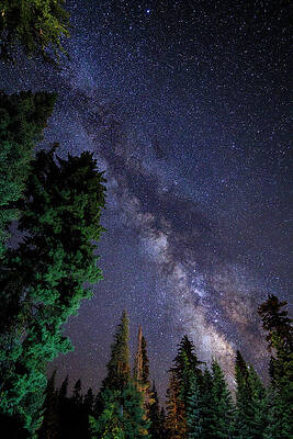 Wall Art - Photograph - Milky Way, Yosemite National Park by Nestor Rodan