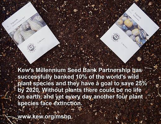 Millennium Seed Bank Partnership Msbp South Africa Photos