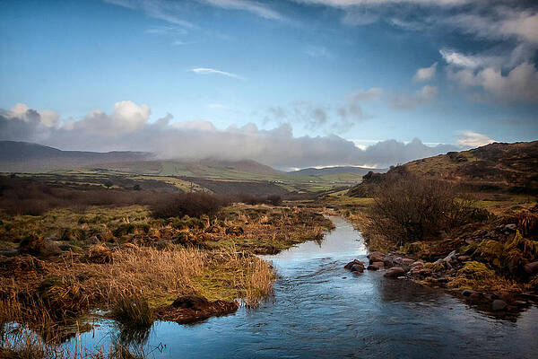 Wall Art - Photograph - Minard Flood Plain by Mark Callanan