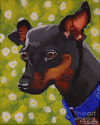 Mini Pinscher by Vicki Maheu Mini Pinscher by Vicki Maheu