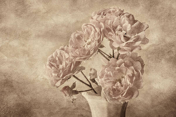 Wall Art - Photograph - Miniature Rose Bouquet by Mary Jo Allen