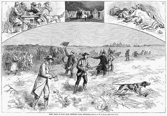 Wall Art - Painting - Minnesota Dog Trial, 1878 by Granger