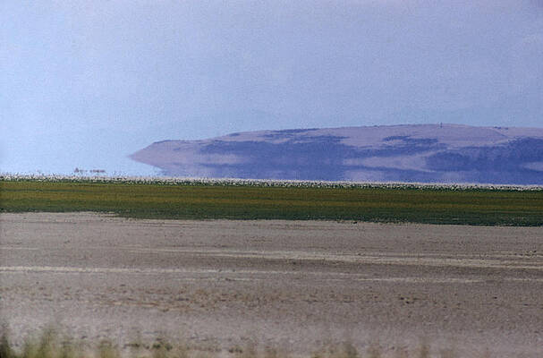 Wall Art - Photograph - Mirage, Utah by William Belknap