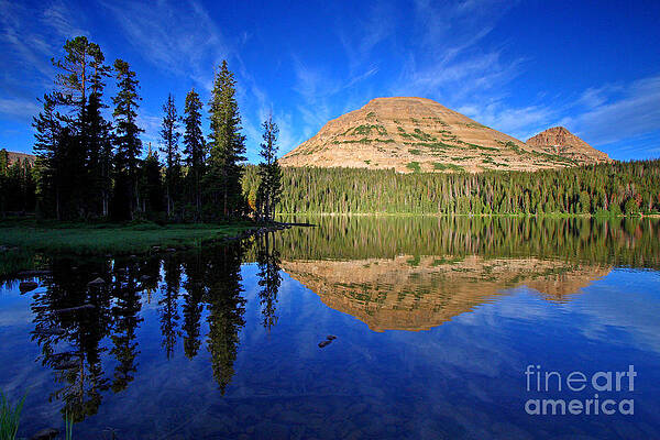 Wall Art - Photograph - Mirror Lake by Bill Singleton
