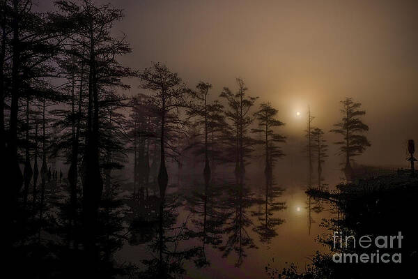 Mississippi Foggy Delta Swamp at Sunrise by T Lowry Wilson Mississippi Foggy Delta Swamp at Sunrise by T Lowry Wilson