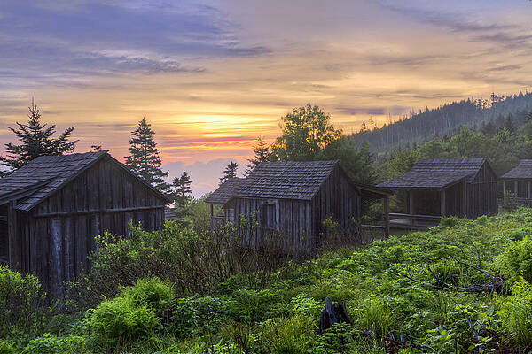 Wall Art - Photograph - Misty Dawn at Mt Le Conte by Debra and Dave Vanderlaan