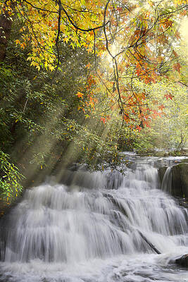 Wall Art - Photograph - Misty Falls at Coker Creek by Debra and Dave Vanderlaan