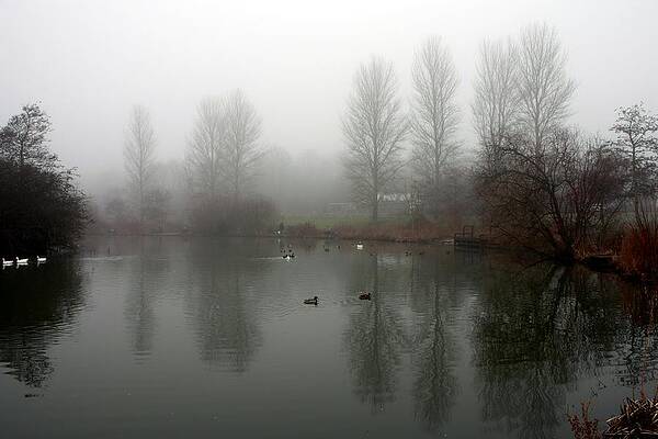 Misty Lake Reflections by Jeremy Hayden Misty Lake Reflections by Jeremy Hayden