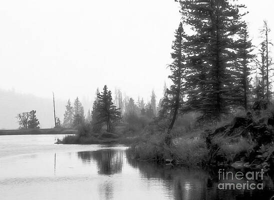 Misty Shore by Roland Stanke Misty Shore by Roland Stanke