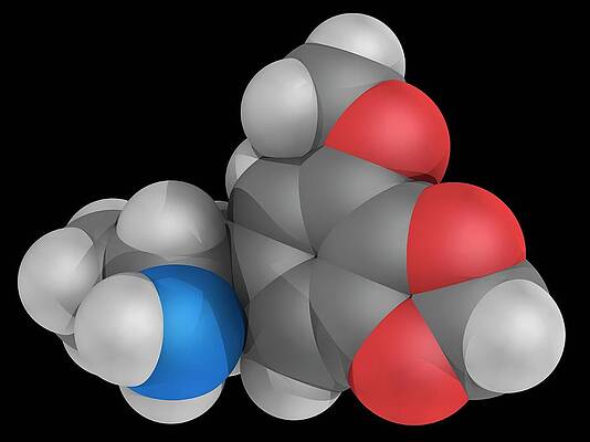 Wall Art - Photograph - Mmda Drug Molecule by Science Photo Library