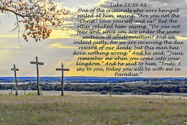Wall Art - Photograph - Mocking Bird On A Cross with Luke 23 39-43 by Kevin Anderson