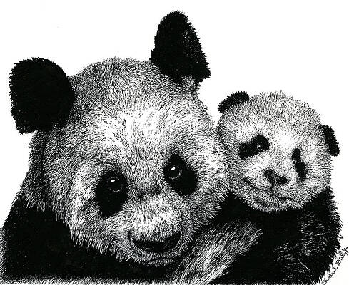 Baby Panda Drawings Pixels