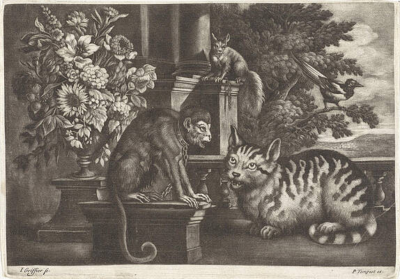 Wall Art - Drawing - Monkey, Cat, Squirrel And Magpie, Jan Griffier by Jan Griffier I And Francis Barlow And Pierce Tempest