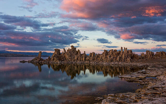 Mono Lake by Tassanee Angiolillo Mono Lake by Tassanee Angiolillo