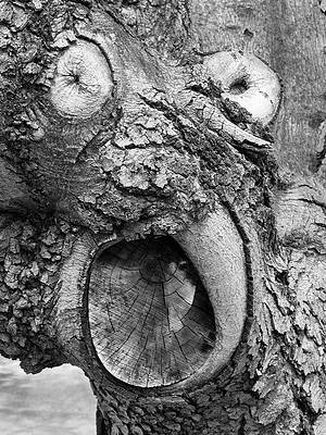 Wall Art - Photograph - Monster Face In Tree Trunk by Gary Slawsky