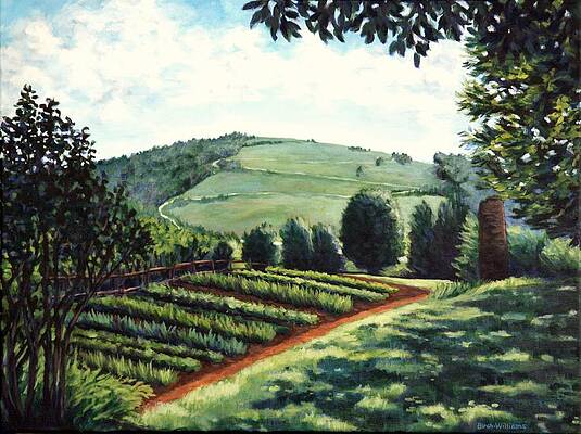 Monticello Vegetable Garden by Penny Birch-Williams Monticello Vegetable Garden by Penny Birch-Williams