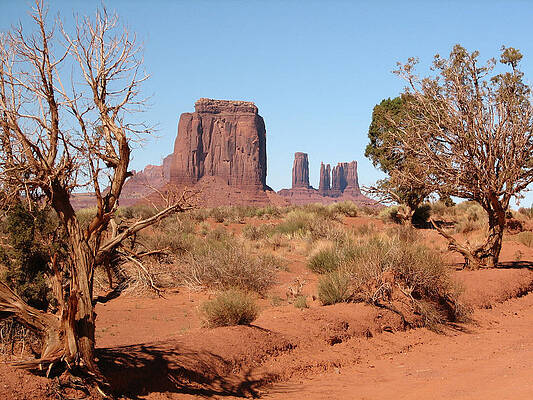 Wall Art featuring the photograph Monument Valley by Sue Leonard