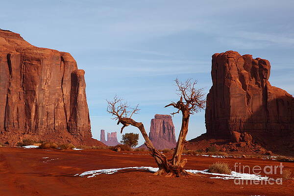 Wall Art - Photograph - Monumental View by Bill Singleton