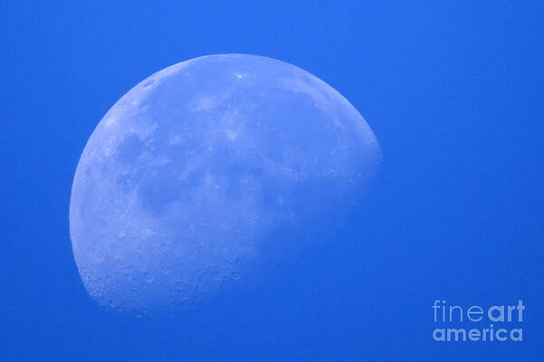 Moon Craters by Mary Mikawoz Moon Craters by Mary Mikawoz